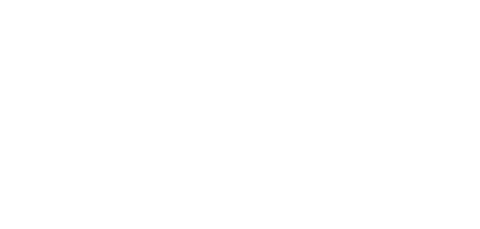 Bazar Ani